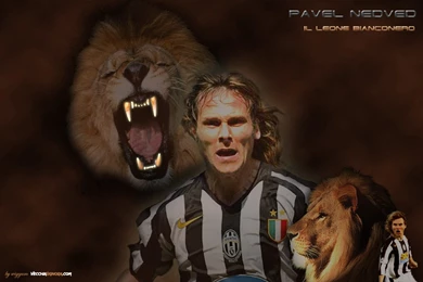 Pavel Nedvěd:El Leon De Praga   Taringa!