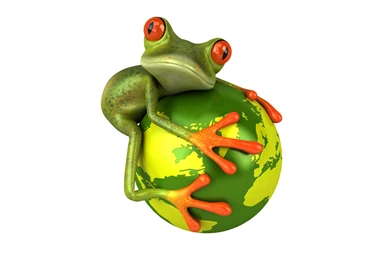 Wallpapers Frogs 3D Graphics Animals Image