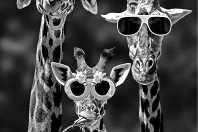 Cool Wallpapers For Iphone