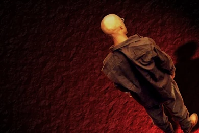 Makaveli GraphiX   Wallpapers Steelo