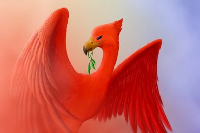 Liverbird   DeviantArt