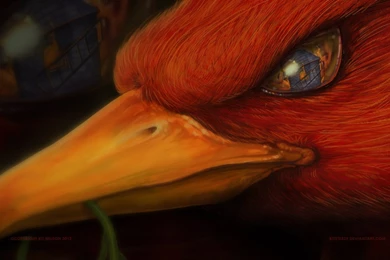 Liverpoolfootballclub   DeviantArt