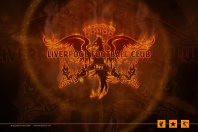 View Topic   Liver Bird Tattoo   Liver Bird Tattoo