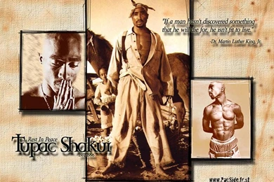 Spiritlikeahorsestallion