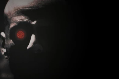 My Attempt At A Twelve Monkeys Wallpapers : Wallpapers