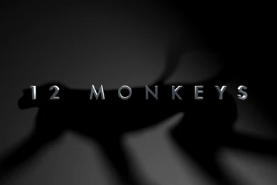 Syfy: 12 Monkeys Pitch