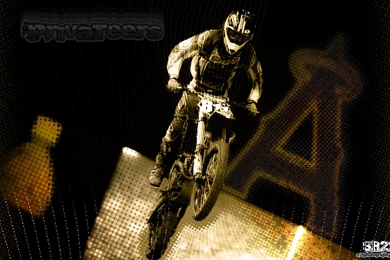 New Wallpapers From The 2010 Supercross Series « Ronron's 2 Cents