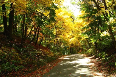 Michigan hd wallpaper.jpg