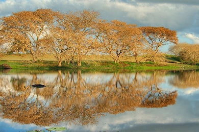 Landscape Wallpapers