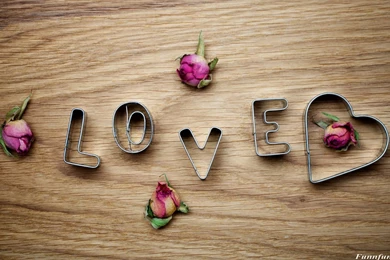 Download Hd Wallpapers Collection (42+)