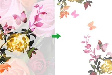 Create Your Unique Wallpapers Mural With Mr Perswall&