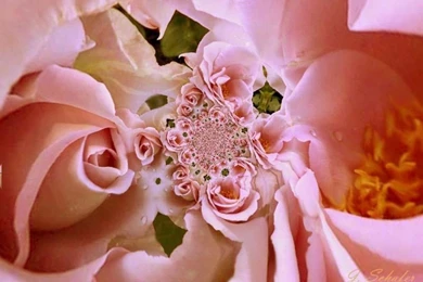 Free Romantic Wallpapers Wallpapers Cave