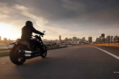 Motorcycles Desktop Wallpapers Harley Davidson V Rod Night Rod ...