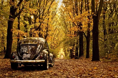 Volkswagen Beetle 2013 Red   Image