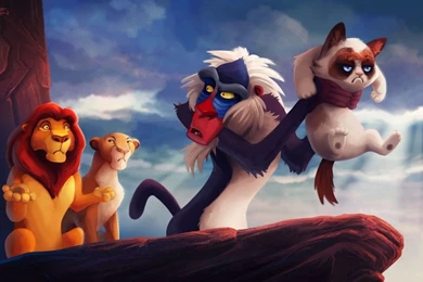 Grumpy Cat Christmas Wallpapers Free Desktop Backgrounds And Wallpapers