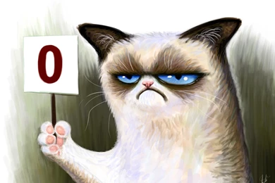 Grumpy Cat Pictureshd Wallpapers