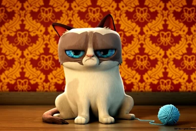 Grumpy Cat Wallpapers 1920X1080