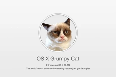 FairerPlatform » Blog Archive OS X Grumpy Cat Wallpapers