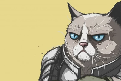 Download Wallpapers 3840x1200 Grumpy Cat, Armor, Meme, Popular Dual ...