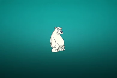 Grumpy Cartoon Polar Bear Minimalist HD Wallpapers