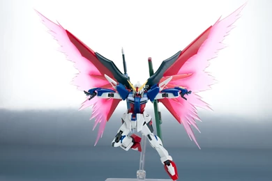 Full Review: Robot Damashii (Side MS) Destiny Gundam No.43 ...