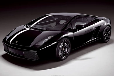 Lamborghini Gallardo, Cars, 1920x1200 HD Wallpapers And FREE Stock ...