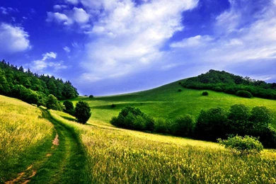 Spring Landscape Wallpapers