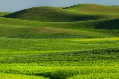 Download The New IOS 7 Wallpapers Now