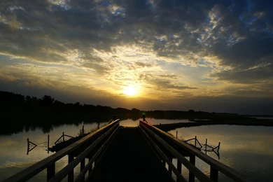 Index Of /bulkupload/02082011/8/1/Nature