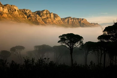 Mountains Clouds Rainforest Wallpapers