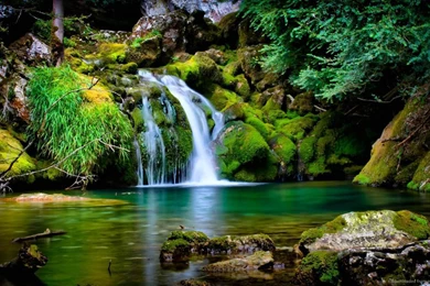 Amazon Rainforest Map   Wallpaper.