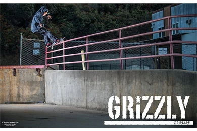 RePin Image: Grizzly Skateboards Grizzly On Pinterest