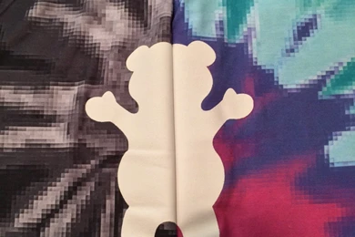 RePin Image: Grizzly Skate Wallpapers On Pinterest