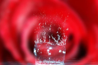 Latest Animated Colorful Different Wallpapers