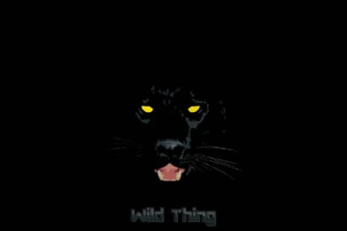 Black Puma Wallpapers Grandt's Auto Repair