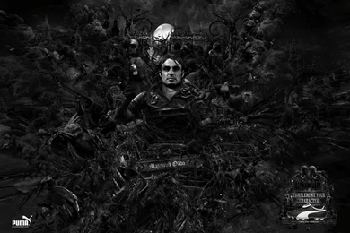 Download Abstract Puma Wallpapers 1400x990