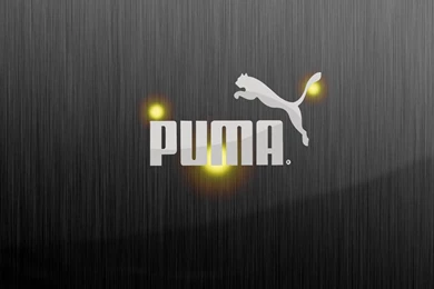 Wallpapers Puma 1366x768