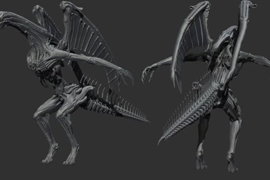 Biomechanical Dragon WIP By XleetherbadMangalore On DeviantArt