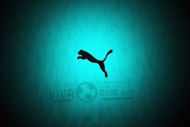 Black Puma Wallpapers