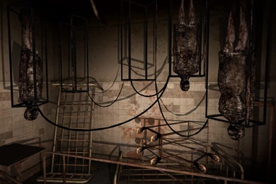 The Real Silent Hill Experience' (Valid In depth Analysis Of The ...