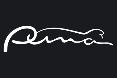 Wallpapers Puma Shoes