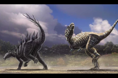 Wallpapers Excercise Marine Reptiles And Timezone 1366x768 ...