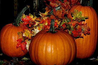 Fall Halloween Wallpapers   Wallpapers High Definition