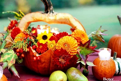 Free Fall Wallpaper Backgrounds