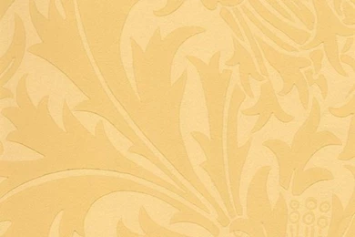 Thistledown Yellow Wallpapers By Sanderson