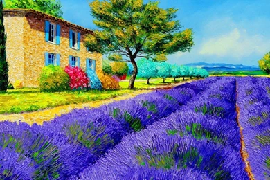 Countryside House Near Lavender Field   (