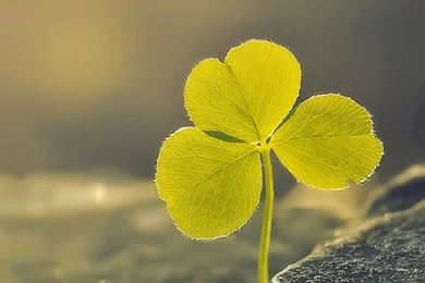 For Lock Screen Wallpapers   Uwallo