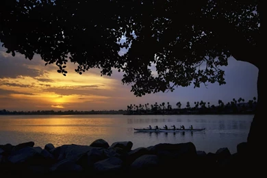 Rowing Wallpapers >> Backgrounds With Quality HD