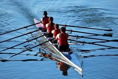 Rowing Water Sports Latest New Free Hd Wallpapers