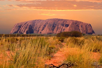 Home » Wayoutback Australian Safaris